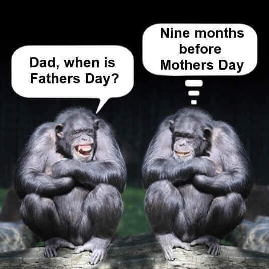 Fathers Day Jokes